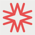 Womens-Search-Network-logo